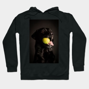 Labrador Retriever Hoodie